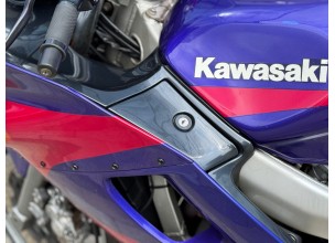 Kawasaki ZZ - R 600 Individual