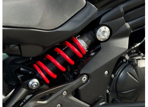 Kawasaki ER - 6 N ABS