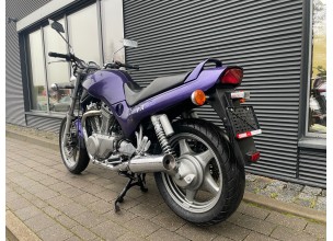 Suzuki VX800